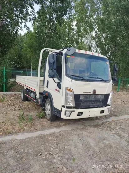Sinotruk HOWO Original SMC Pressure Reducing Filter Truck Accessories for Oil Tank Trucks Model Aw30